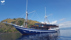14인승 MV Raja Ampat Explorer 풀차터 프로그램
